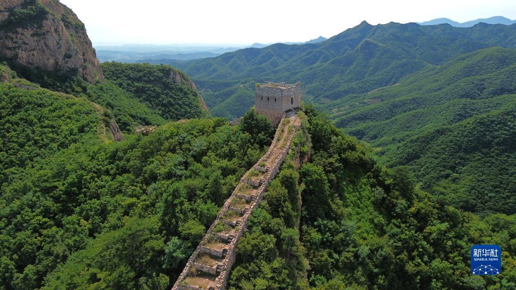 mg线上国际